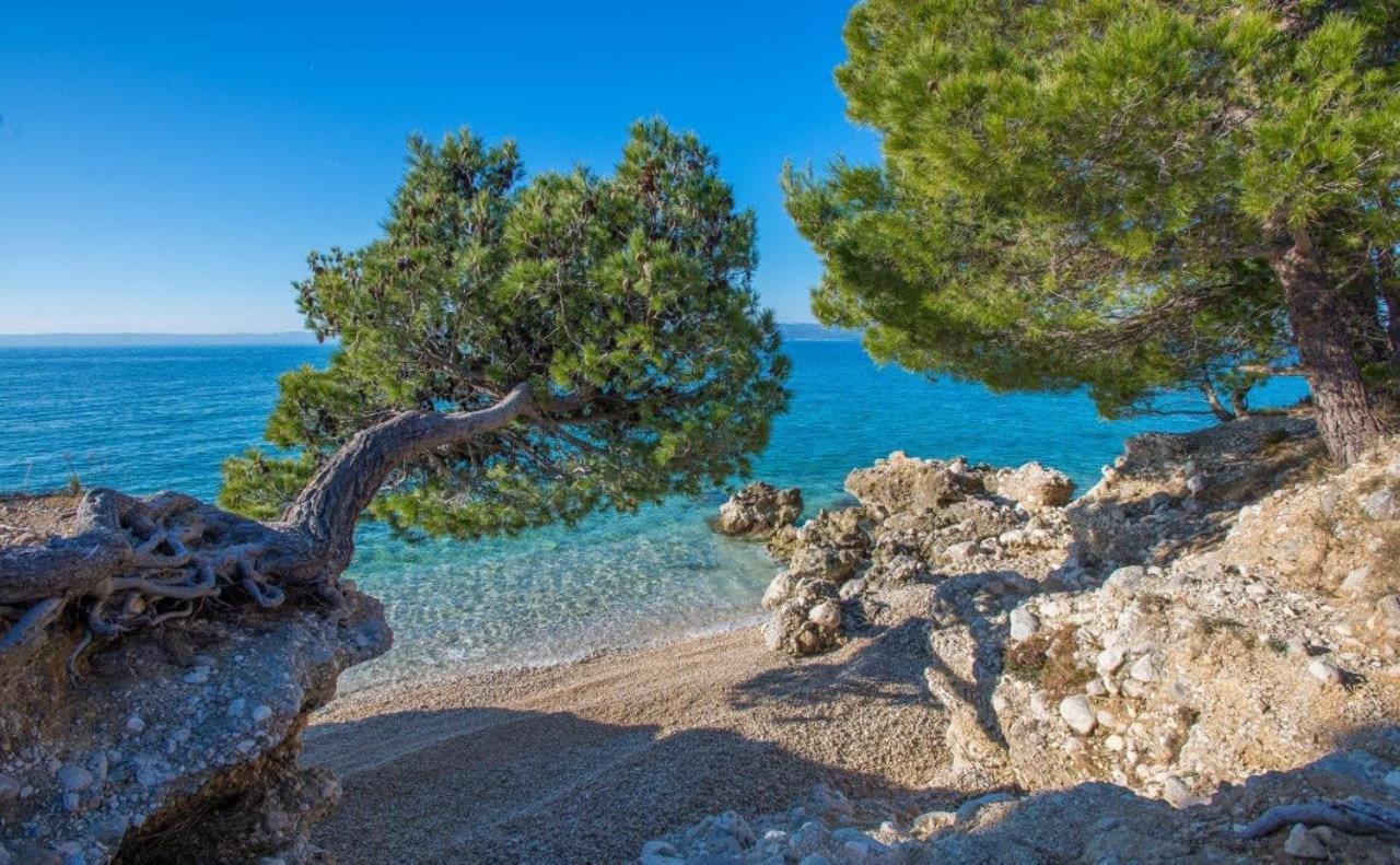 Apartman King Makarska Exteriör bild